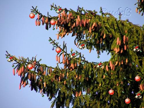 Православие, православное Рождество 2010 года, старый Новый год 2010 года, рецепты рождественского праздничного стола, праздничные блюда, христианство, православный сайт udell3.narod.ru